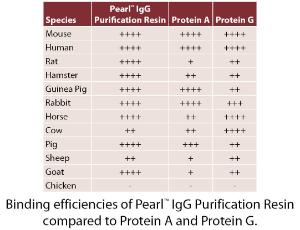 Pearl™ IgG Purification, G-Biosciences