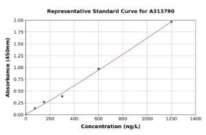 Representative standard curve for human DLL3 ELISA kit (A313790)