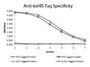 6X HIS TAG antibody 1 mg
