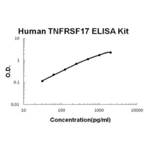 Human TNFRSF17/BCMA PicoKine ELISA Kit, Boster