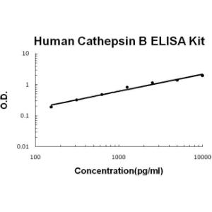 Human Cathepsin B PicoKine ELISA Kit, Boster