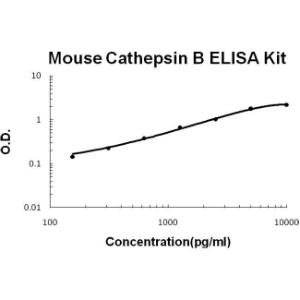 Mouse Cathepsin B PicoKine ELISA Kit, Boster