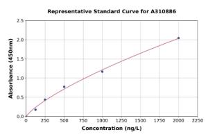 Representative standard curve for Mouse XIN ELISA kit (A310886)