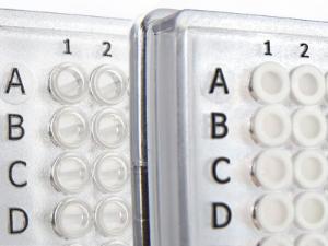 4ti-0380/C and 4ti-0381 FrameStar 384 well skirted PCR plates, Roche Style, corner comparison detail