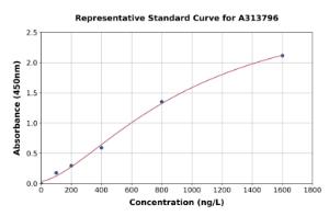Representative standard curve for human HGS ELISA kit (A313796)