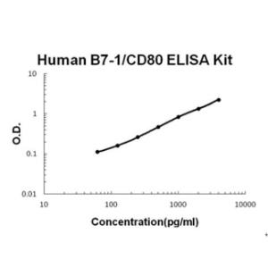 Human B7-1/CD80 PicoKine ELISA Kit, Boster