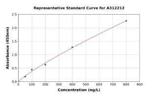 Representative standard curve for Human CBX2 ELISA kit (A312212)