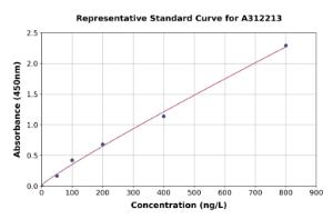 Representative standard curve for Human DCTN5 ELISA kit (A312213)