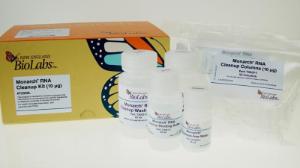 Monarch® RNA cleanup kit (10 ?g)