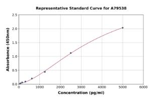 Representative standard curve for Rat MMP9 ELISA kit (A79538)