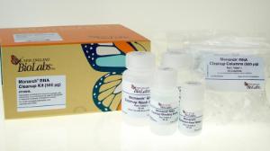Monarch® RNA cleanup kit (500 ?g)