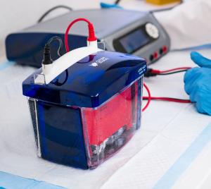 Aqua quad mini-cell is compatible with mini gels cassette dimensions 10 ×<br />8 cm
