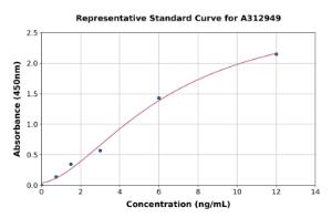 Representative standard curve for Human Wnt5a ELISA kit (A312949)
