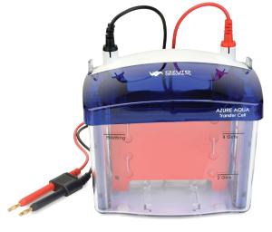 The azure aqua transfer cell is used for transferring two mini gels to membranes for Western blotting experiments (wet transfer)