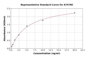 Representative standard curve for Mouse RUNX2 ELISA kit (A75790)