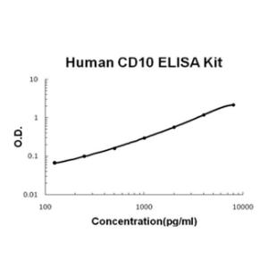 Human CD10/Neprilysin PicoKine ELISA Kit, Boster