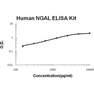 Human Lipocalin-2/NGAL PicoKine ELISA Kit, Boster
