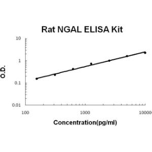 Rat Lipocalin-2/NGAL PicoKine ELISA Kit, Boster