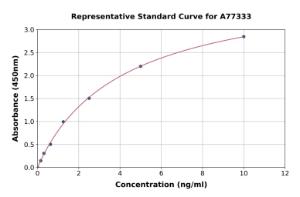 Representative standard curve for Rat MCT1/Monocarboxylic Acid Transporter 1 ELISA kit (A77333)