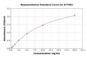 Representative standard curve for Human Cystatin C ELISA kit (A77961)