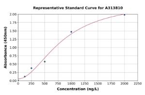 Representative standard curve for human PSME1 ELISA kit (A313810)