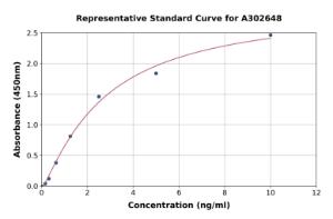 Representative standard curve for Human OXCT1/SCOT ELISA kit (A302648)