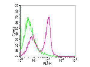 CD3E FLUOR antibody 100 µg