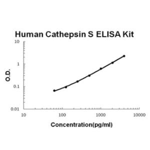 Human Cathepsin S PicoKine ELISA Kit, Boster