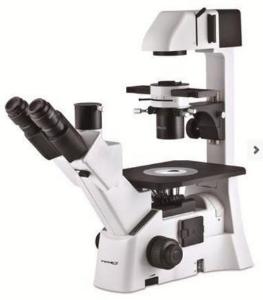VWR® Clinical Laboratory Trinocular Microscope
