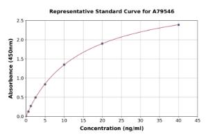 Representative standard curve for Human MTR ELISA kit (A79546)