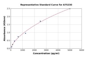 Representative standard curve for Human BCLLb/Ctip2 ELISA kit (A75230)