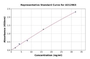 Representative standard curve for Human FOXP3 ELISA kit (A312963)