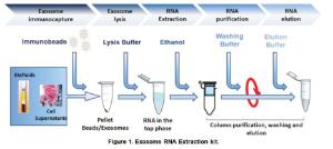 Figure 1. Exosomes RNA Extraction Kit.