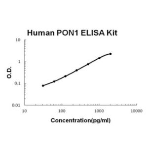 Human PON1 PicoKine ELISA Kit, Boster