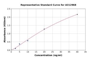 Representative standard curve for Human SOX1 ELISA kit (A312968)