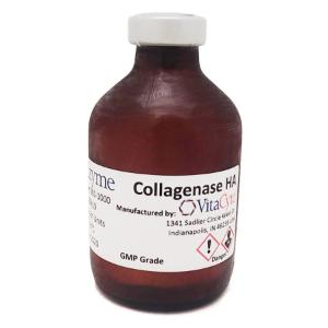Collagenase HA 2000