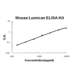 Mouse Lumican PicoKine ELISA Kit, Boster