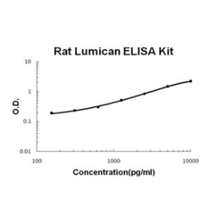 Rat Lumican PicoKine ELISA Kit, Boster