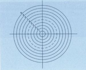 Concentric Circles Graticle, Electron Microscopy Sciences