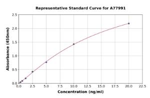 Representative standard curve for Human PSD95 ELISA kit (A77991)