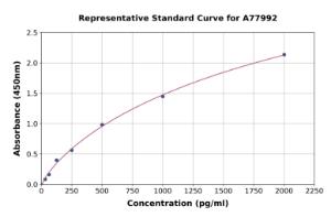Representative standard curve for Human DLL1 ELISA kit (A77992)