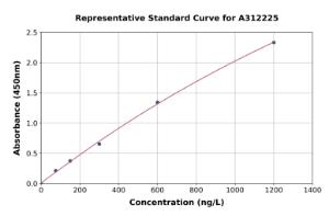 Representative standard curve for Human RAB3B ELISA kit (A312225)