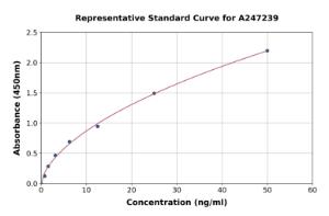 Representative standard curve for Bovine Superoxide Dismutase 1 ELISA kit (A247239)