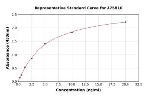 Representative standard curve for Mouse Soluble CD146 ELISA kit (A75810)