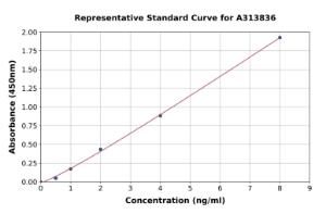 Representative standard curve for human Synaptotagmin ELISA kit (A313836)