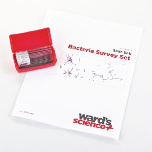 Bacteria Survey Slide Set
