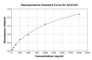 Representative standard curve for Mouse IL-1RA ELISA kit (A247243)