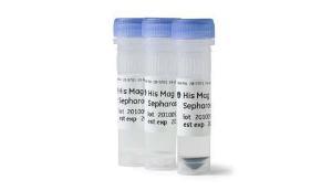 His Mag Sepharose™ Ni (2×1 ml) for 10 purifications
