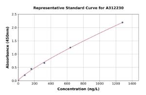 Representative standard curve for Human FLCN ELISA kit (A312230)