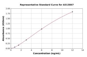 Representative standard curve for human IDUA ELISA kit (A313847)